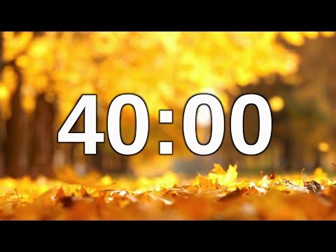 40 minute timer autumn ambiance