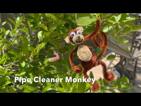 Pipe Cleaner Monkey craft