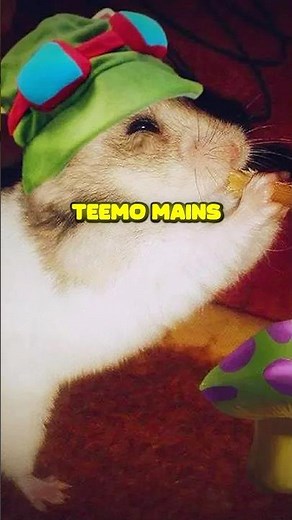 POV: all teemo mains