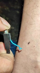 DIY Mosquito Zapper with a Flashlight & Bowl – Simple Trick! 🦟🔦 . . . . . #MosquitoZapper #DIYHack #CatchMosquitoes #HomeHacks #TrickThem | Lexus Pet Boutique