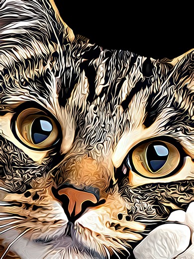 Creative Polo Shirt Design Ideas for Kids