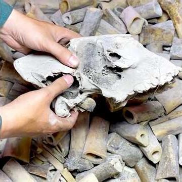 Handmade Buttons from Animal Bones | Full Process #shorts