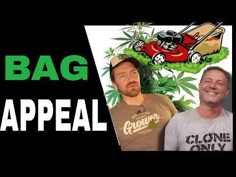 Trim Your Cannabis Like THIS for Picture Perfect Buds Every Time