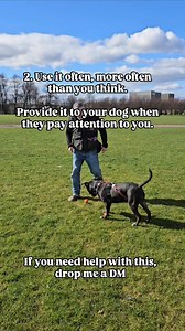 Recall with your dog can be challenging, but it's one of the easiest things to train if you are patient and work through the steps. And you don't need a shock collar to do it. We have a number of resources which can help, both in person and online. Don't struggle with it. Message us, we can help. #dogtraining #dogtrainer #positivereinforcementdogtraining #glasgowdogtraining #glasgowdogtrainer #glasgowdogtraining #positivereinforcementdogtrainer | Glasgow Dog Trainer and Behaviour Consultant
