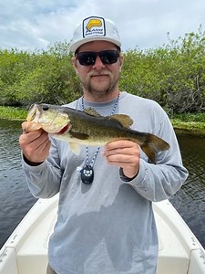 5 Reasons Why Your Pond Smells Fishy • Panfish Nation