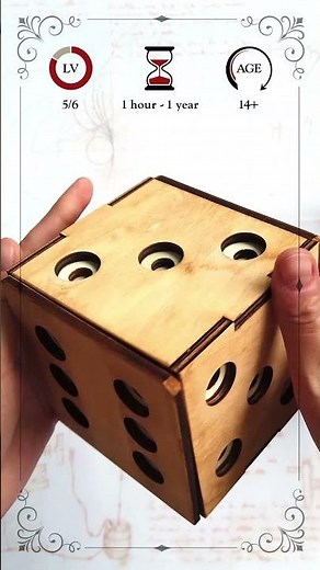 Dice Secret Box - Leonardo's Mind Puzzles - Overview
