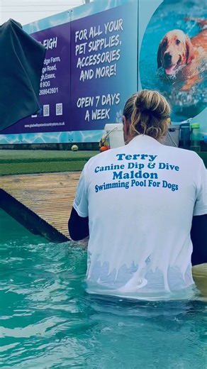 16K views · 630 reactions | 5 month old Cavapoo puppy Leo did so well for his first swimming experience  | Canine Dip and Dive Maldon | Facebook