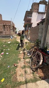 Amazing Broom Making Factory | Food and Street