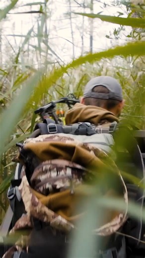 Too lazy to perfect your own jerky recipe? We've got you covered with the best meat snacks in town, available now. https://store.themeateater.com/pages/meat-snacks | MeatEater