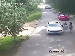 OMG | Amazing Videos