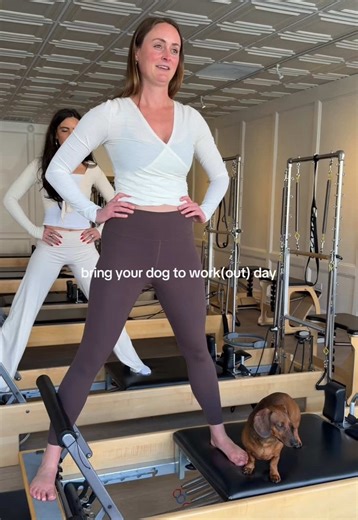 Puppies and Pilates: The Perfect Combination