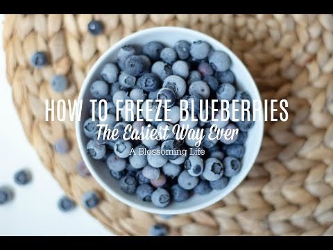 How To Freeze Blueberries - The Easiest Way Every