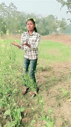 Originally priced around $1.5 million, the Mercedes CLR GTR is considered oneof the most exclusivi