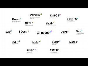 L’Insee et les services statistiques ministériels : un visuel commun, des valeurs communes.