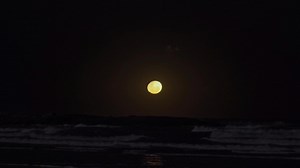 373K views · 11K reactions | listen to the sound of waves and look how beautiful the moon is. | Xen | Facebook