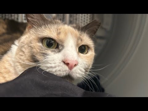 Eggletsky and ‪@GamerBlake-xy7gu‬ memorializer