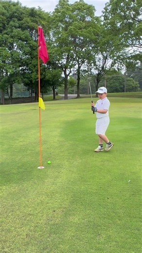 頑張れ我が家のとんぼ🏌🏼‍♀️ちゃん 野田パブリックけやきコース 早朝ゴルフ 手引カートでハーフ