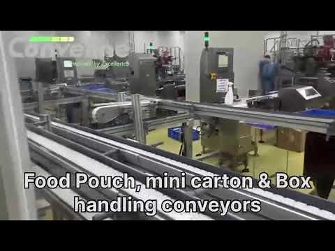 Flexible Chain Conveyor systems for Food and Pharma industries