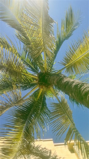 HANNAH LUTZ on Instagram: "page 1 of 365 📖 Have a good feeling about 2026 🩷"