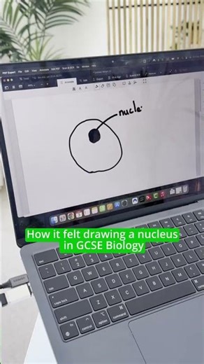Drawing the nucleus - GCSE vs A level Biology #biology #alevels #alevelbiology #cellbiology