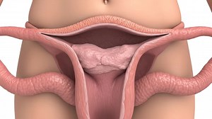 White and Red Discharge period First day painfully process inside view #period #process #human #anatomy #foryou | Doctor Jessica