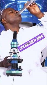 Cockroach Milk: Science’s Most Shocking Protein!