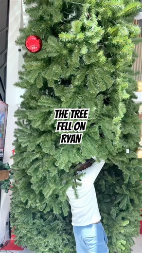 The Christmas tree FELL ON RYAN🎄😳😮‍💨