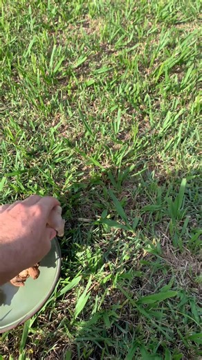 People Use GINGER and DON'T KNOW What It Does to Their HEALTH! 😱 | Top Recipes and Tips