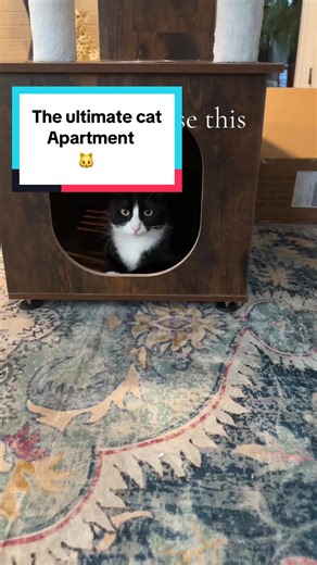 Cozy Cat Tree with Litter Box Enclosure