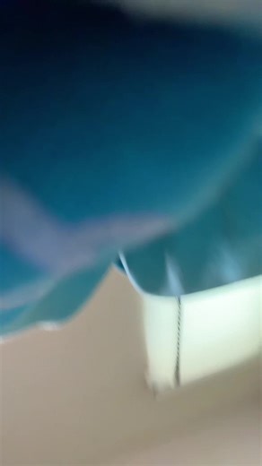 not a single thought in dat brain