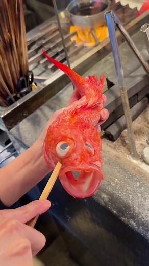贅沢なキンキの原始焼き🐟 こちらのお店では、特大の囲炉裏で作る豪快な炉端焼きが名物🏠 新鮮な魚を焼きたてで完壁な味付けで提供するプロの技が光るお店。 どのメニューも食べ応え抜群🌊 📍すみ劇場 むさし坐/ 福岡 ￥2000～/人 ⏰営業時間：16:00〜24:00 💤定休日：なし 🏠住所：〒810-0004 福岡県福岡市中央区渡辺通５丁目５−１２ #東京グルメ#福岡グルメ #tiktokfood
