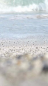 9.8K views · 49 reactions | Plan the perfect coastal road trip and visit some of our best SIZZLIN’ Summer South African National Parks. #SANParksSummer #LiveYourWild #SANParks #WildBackyard | South African National Parks | Facebook