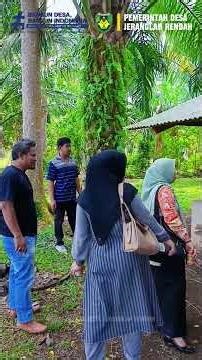 Dinas Pemberdayaan Masyarakat dan Desa Bengkulu Selatan Tinjau Program Sapi di Desa Jeranglah Rendah