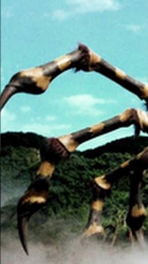 Kumonga. The Giant Spider of Sollgel Island. Toho Godzilla Lore