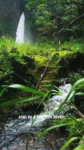 Ancient Carving Depicts Alien Interaction! #TheProofIsOutThere Watch new episodes of The Proof Is Out There Fridays at 10/9c on HISTORY! | HISTORY