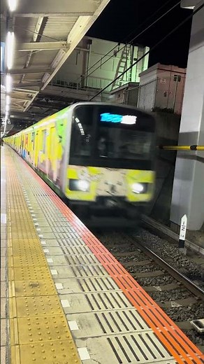 東武鉄道東上本線50000系50090型51092編成 朝霞台通過