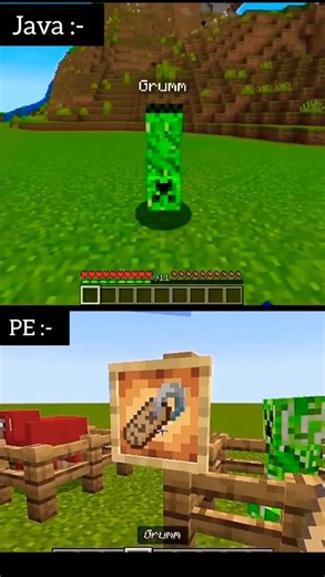 Minecraft's Unique Name Tags: EXPLAINED For PE & Java