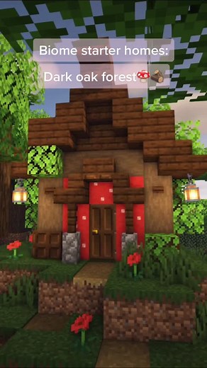 Minecraft Dark Oak Biome Starter Homes
