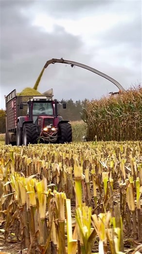#lifeisbutadream #tractor #farming