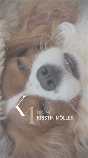 Dr. med. Kristin Möller on Instagram: "POV: Ich kann mein Bein nicht bewegen, er schnarcht glücklich, alle Pfoten in der Luft. Wenn das keine Liebe ist, weiß ich auch nicht. 😂💛🐾 #cavalier #doglover #reallove"