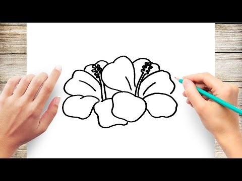 How to Draw a Hawaiian Flower Step by Step for Kids