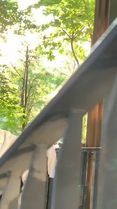 CTP's Blog | C o n t e m p l a t e