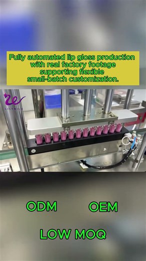 Private Label Lip Gloss Manufacturing | Automated Filling Line
