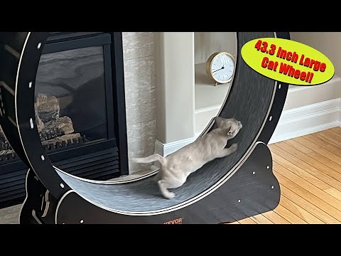 VEVOR Cat Wheel Easy Step by Step Installation - Great Exerciser for Indoor Cats