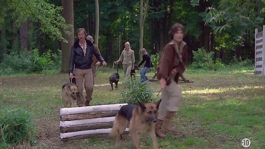 Les.Chiens.1979.FRENCH.1080p.HDTV.DD2.0.x264-LePOURVOYEUR