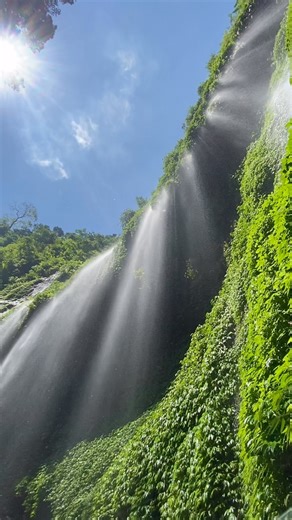 Traveler on Instagram: "Madakaripura, Indonesia 🇮🇩 A magical place where tall cliffs are covered in green plants and water falls down like silver curtains. Sunlight shines through the mist, making the whole canyon glow. Known as the tallest waterfall in Java, it is a peaceful spot full of natural beauty. Who would you visit Madakaripura with?💧🌿 #traveler video by @die4yuu__"