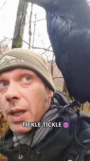 Why This Crow is an Amazing Talker