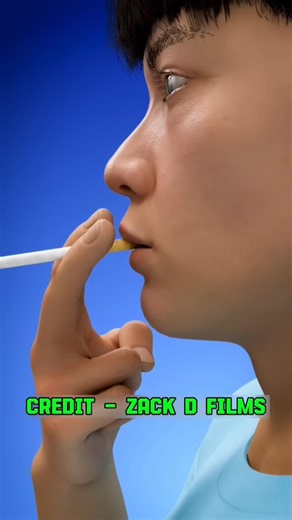 Quit Smoking Hack Brain Ko Control Karne Wala Nicotine Trick 😳🧠 #QuitSmoking #BrainHack