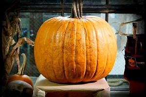 1.4M views · 6K reactions | Happy Halloween from Walt Disney World! | Walt Disney World | Facebook