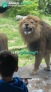 2.5M views · 32K reactions | I can't tell if he smelt something good or bad 藍女 | Animal Antics | Facebook